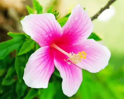 Hawaiian Flower Diamond Painting