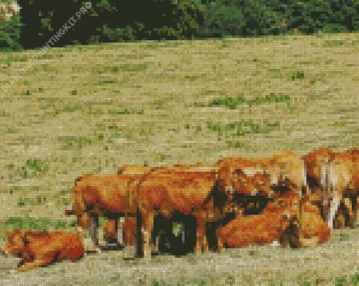 Herd Of Cows Diamond Painting