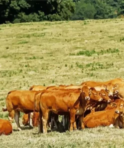 Herd Of Cows Diamond Painting