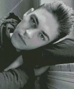 Hero Fiennes Tiffin Diamond Painting