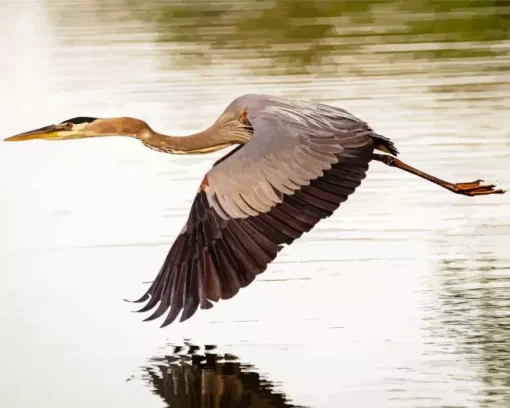 Heron Bird Flying Diamond Painting