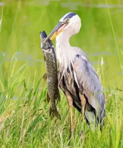 Heron Eating Fish Diamond Painting