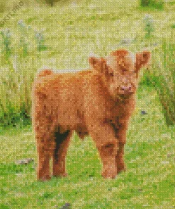 Highland Baby Cow Diamond Painting