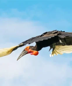 Hornbill Bird Flying Diamond Painting