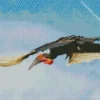Hornbill Bird Flying Diamond Painting