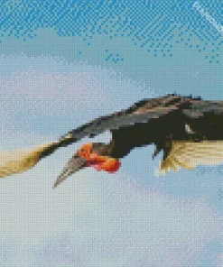 Hornbill Bird Flying Diamond Painting