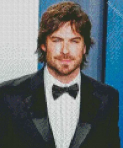 Ian Somerhalder Diamond Painting
