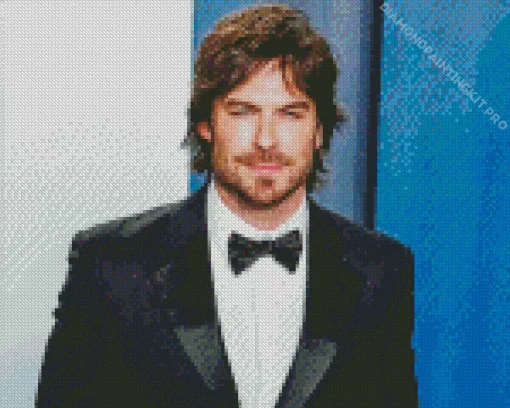 Ian Somerhalder Diamond Painting