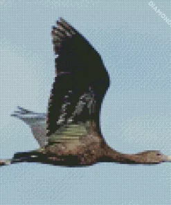 Ibis Bird Flying Diamond Painting