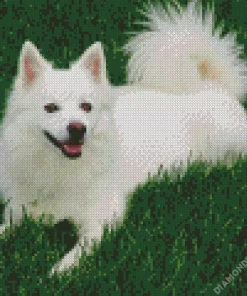 Japanese Spitz Dog Diamond Painting