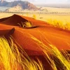 Kalahari Desert Diamond Painting