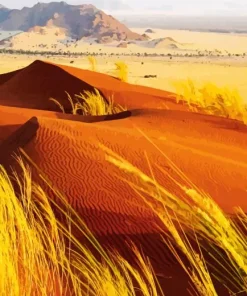 Kalahari Desert Diamond Painting