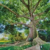Kapok Tree Diamond Painting