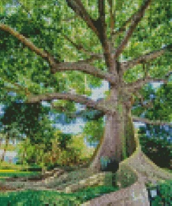Kapok Tree Diamond Painting