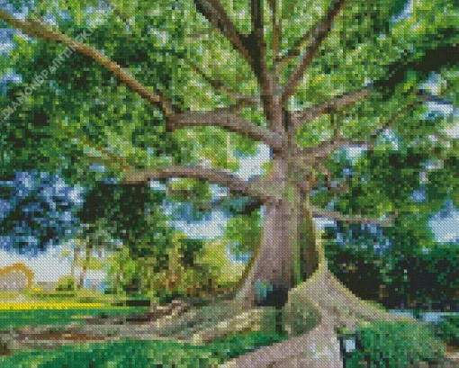 Kapok Tree Diamond Painting