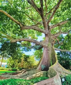 Kapok Tree Diamond Painting