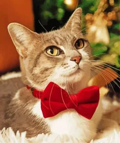 Kitten With Bow Tie Diamond Painting