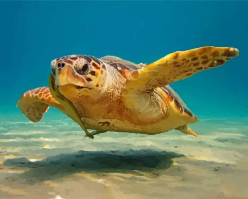 Loggerhead Sea Turtle Diamond Painting