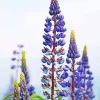 Lupine Flowers Diamond Painting