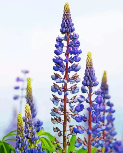 Lupine Flowers Diamond Painting