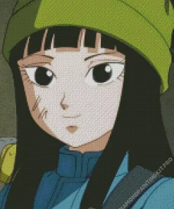 Mai Dragon Ball Diamond Painting