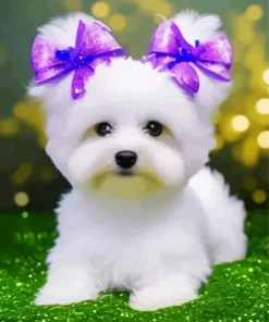 Maltese Diamond Painting