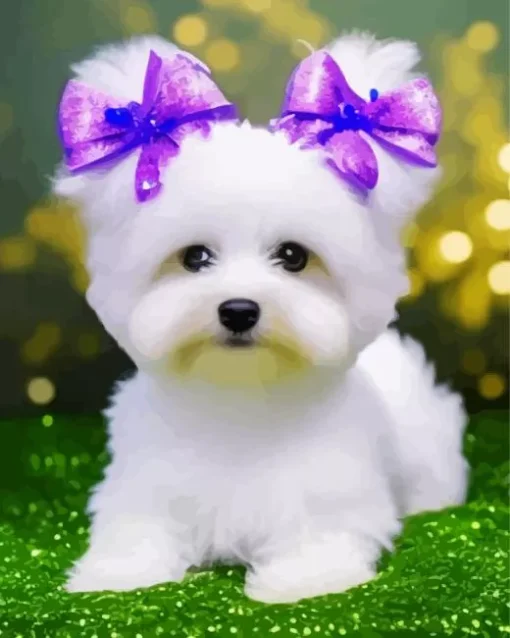 Maltese Diamond Painting