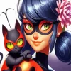 Miraculous Ladybug And Cat Diamond Painting