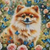 Pomeranian And Butterflies Diamond Painting