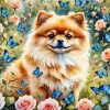 Pomeranian And Butterflies Diamond Painting