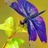 Purple Dragonfly Diamond Painting