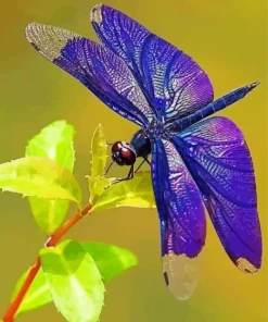 Purple Dragonfly Diamond Painting