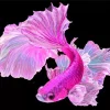 Purple Fish Diamond Painting