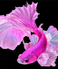 Purple Fish Diamond Painting