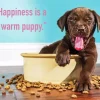 Quote Dog Diamond Painting