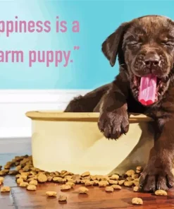 Quote Dog Diamond Painting