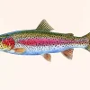 Rainbow Trout Fish Diamond Painting