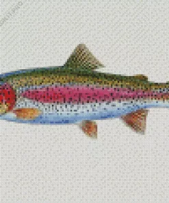 Rainbow Trout Fish Diamond Painting