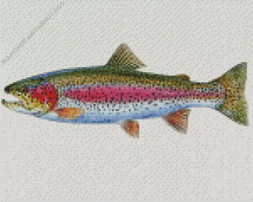 Rainbow Trout Fish Diamond Painting