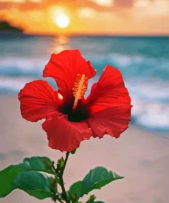 Red Flower On The Beach Diamond Painting