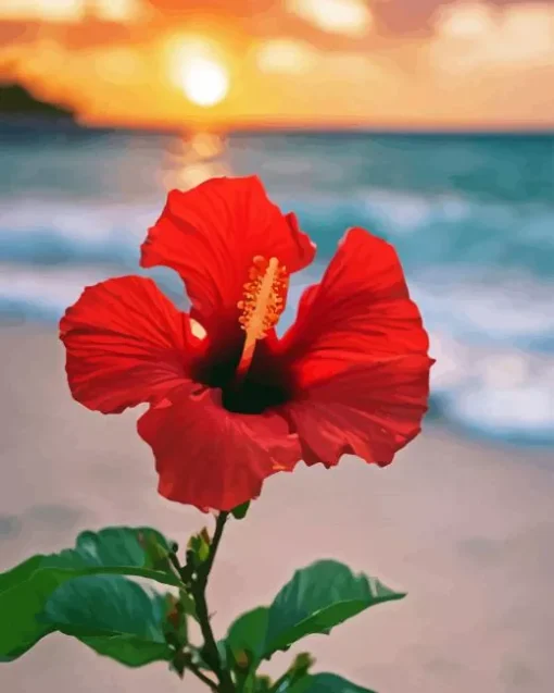 Red Flower On The Beach Diamond Painting