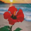 Red Flower On The Beach Diamond Painting