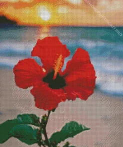 Red Flower On The Beach Diamond Painting