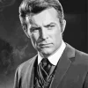 Robert Conrad Diamond Painting
