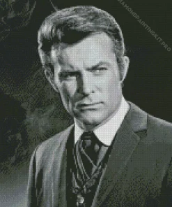Robert Conrad Diamond Painting