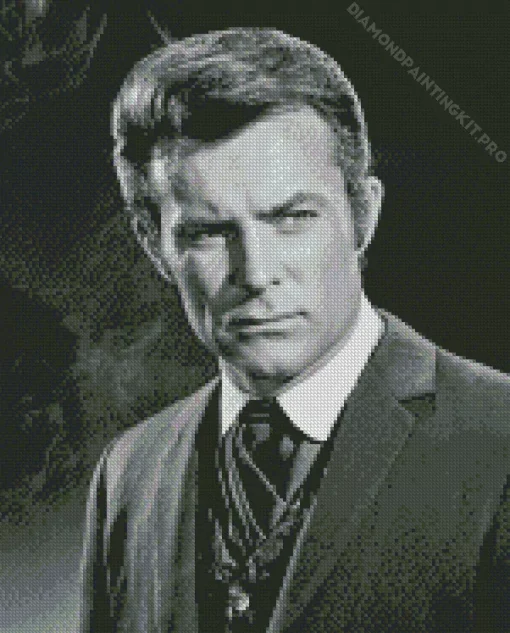 Robert Conrad Diamond Painting