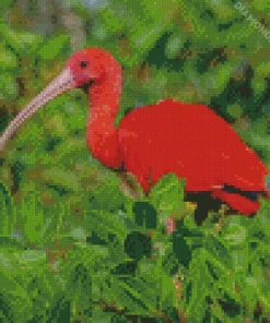 Scarlet Ibis Bird Diamond Painting