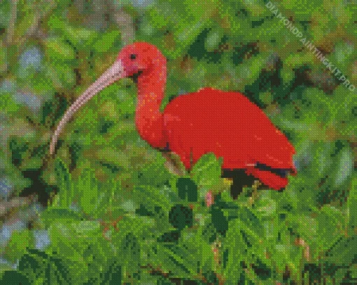 Scarlet Ibis Bird Diamond Painting