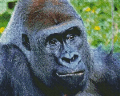 Silverback Gorilla Diamond Painting