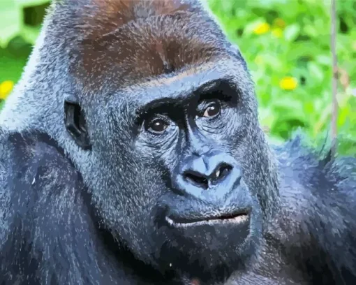 Silverback Gorilla Diamond Painting